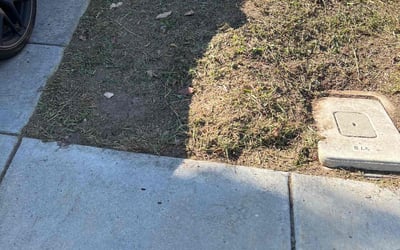 Photo of Sharon Y.'s yard after getting landscaping in Alpine, CA