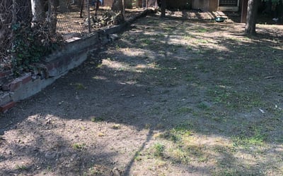 Photo of Courtney E.'s yard after getting landscaping in Libertytown, MD