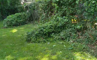 Photo of Nellie M. M.'s yard after getting landscaping in Kidder, MO