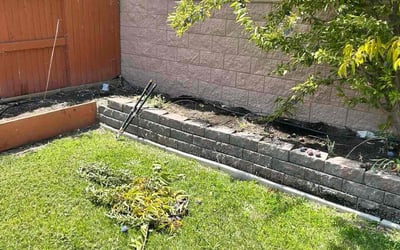 Photo of Dawn/Kirk E.'s yard after getting tree care in Sacramento, CA