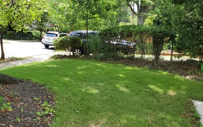 Photo of Chris M.'s yard after getting tree care in Cumming, GA