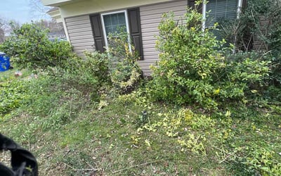 Photo of Deborah S.'s yard after getting landscaping in Woodville, VA