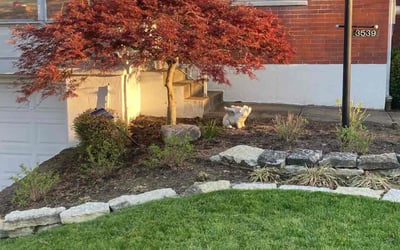 Photo of Ashley M.'s yard after getting landscaping in Fayetteville, OH
