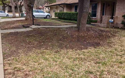Photo of Michael O.'s yard after getting landscaping in Mc Queeney, TX