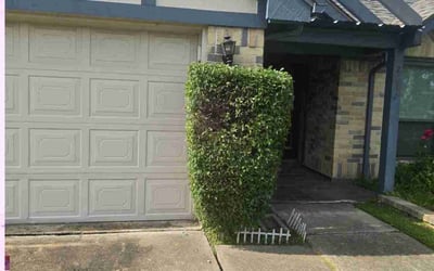 Photo of Robert F.'s yard after getting landscaping in Sugar Land, TX