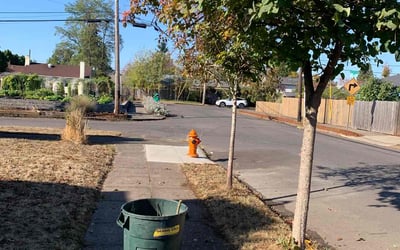 Photo of Amy F.'s yard after getting landscaping in Sandy, OR