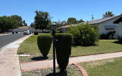 Photo of Jessica M.'s yard after getting landscaping in Phoenix, AZ