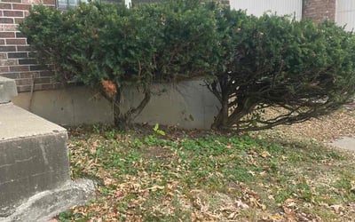 Photo of Jessica G.'s yard after getting landscaping in Edgerton, KS