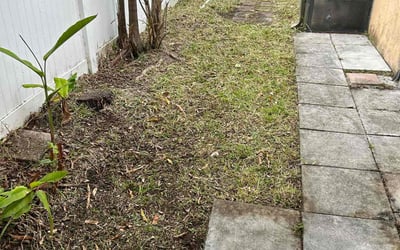Photo of Jason C.'s yard after getting landscaping in Pembroke Pines, FL