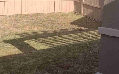 Photo of Melissa C.'s yard after getting landscaping in Bonsall, CA