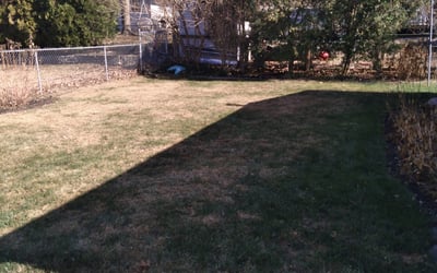 Photo of Christina C.'s yard after getting landscaping in Delta, OH
