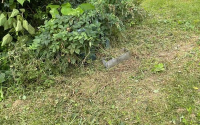 Photo of Alicia R.'s yard after getting landscaping in De Forest, WI