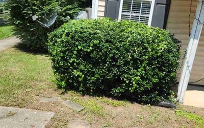 Photo of Jonathan S.'s yard after getting landscaping in Timberlake, NC