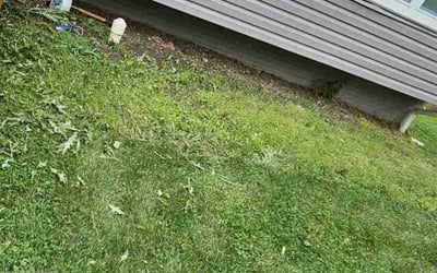 Photo of Samuel B.'s yard after getting landscaping in Pomfret, MD