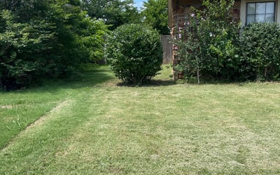 Photo of William H.'s yard after getting landscaping in Henryetta, OK