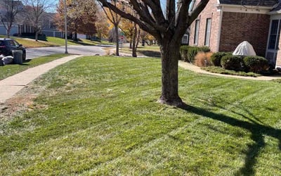 Photo of Dean A.'s yard after getting landscaping in Trimble, MO