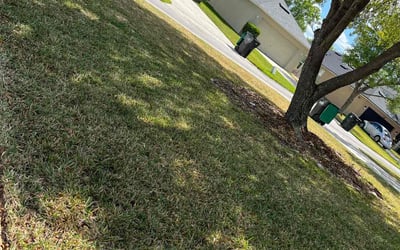 Photo of Jessica M.'s yard after getting landscaping in Astatula, FL