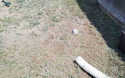 Photo of Dan R.'s yard after getting landscaping in Larkspur, CO