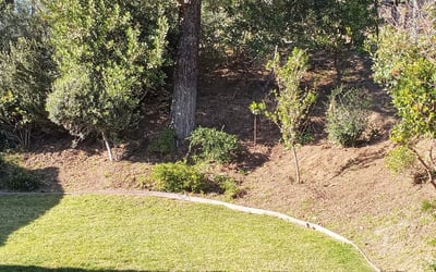 Photo of Virginia N.'s yard after getting landscaping in Malibu, CA