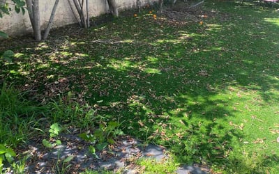 Photo of Jacob S.'s yard after getting landscaping in Santa Maria, CA