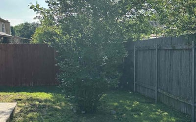 Photo of Sheryl L.'s yard after getting landscaping in Pflugerville, TX