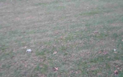 Photo of Frederick M.'s yard after getting landscaping in Zimmerman, MN