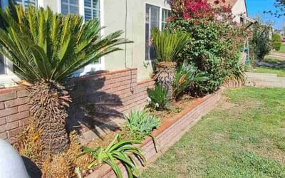 Photo of Cheryl G.'s yard after getting landscaping in Taft, CA
