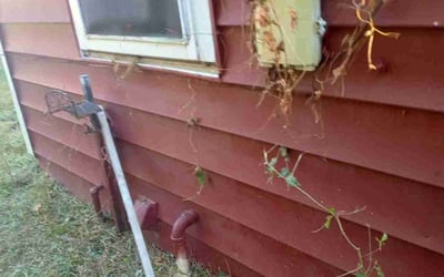 Photo of Susanne S.'s yard after getting tree care in Willis, TX