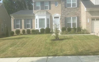 Photo of Faterah J.'s yard after getting landscaping in Upperville, VA