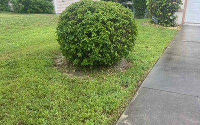 Photo of Carol S.'s yard after getting landscaping in Alva, FL