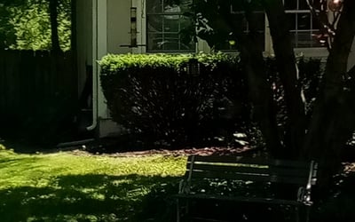 Photo of Katie J.'s yard after getting landscaping in Lees Summit, MO