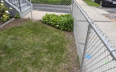 Photo of Wendy G.'s yard after getting landscaping in Springfield, MA