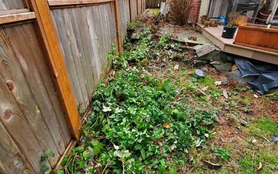 Photo of Gaylon C.'s yard after getting tree care in Issaquah, WA
