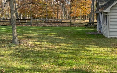 Photo of Maura B.'s yard after getting landscaping in Brookpark, OH