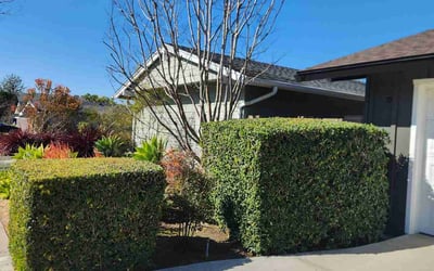 Photo of Alexis B.'s yard after getting landscaping in Rancho Santa Margari, CA