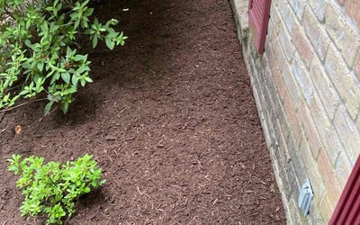 Photo of Stuart D.'s yard after getting landscaping in Spring, TX