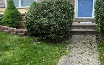 Photo of Thomas D.'s yard after getting landscaping in Woodbridge, VA