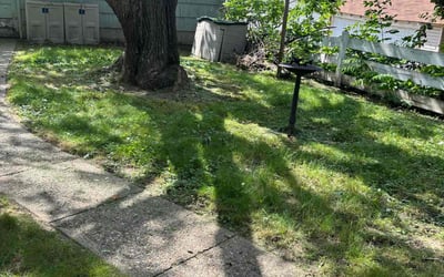 Photo of Steve L.'s yard after getting landscaping in Hugo, MN