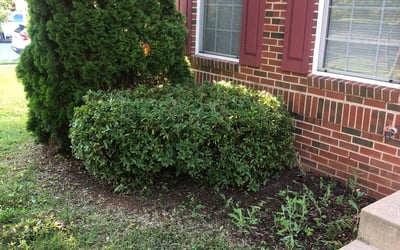 Photo of Aaron R.'s yard after getting landscaping in Spotsylvania, VA
