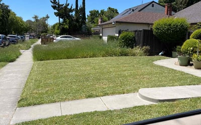 Photo of kristen g.'s yard after getting landscaping in San Martin, CA