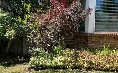 Photo of Larry S.'s yard after getting landscaping in Silver Plume, CO
