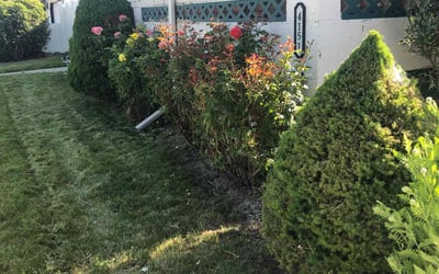 Photo of Melissa F.'s yard after getting landscaping in Salt Lake City, UT