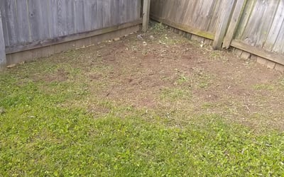 Photo of Larry H.'s yard after getting tree care in Maryville, TN