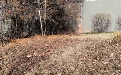 Photo of sabrina t.'s yard after getting landscaping in Elizabeth, CO