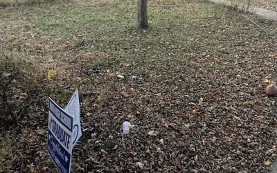 Photo of Lisa S.'s yard after getting landscaping in Rockford, MN
