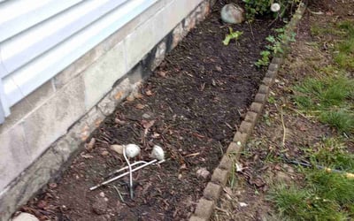 Photo of Laura T.'s yard after getting landscaping in Irwin, OH