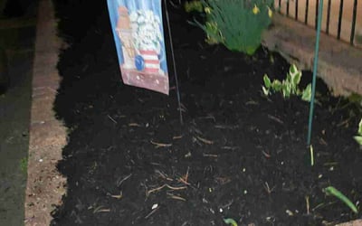 Photo of Sharon W.'s yard after getting landscaping in Mount Laurel, NJ