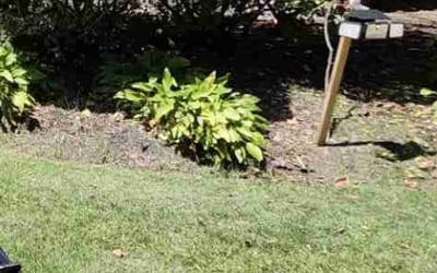 Photo of Kimberly S.'s yard after getting landscaping in Washington, VA