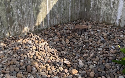 Photo of Steven S.'s yard after getting landscaping in Robstown, TX