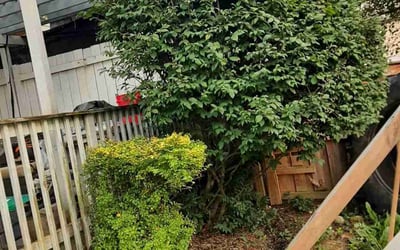 Photo of Matthew F.'s yard after getting landscaping in Lithopolis, OH